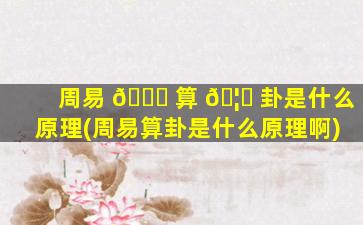 周易 🐈 算 🦟 卦是什么原理(周易算卦是什么原理啊)